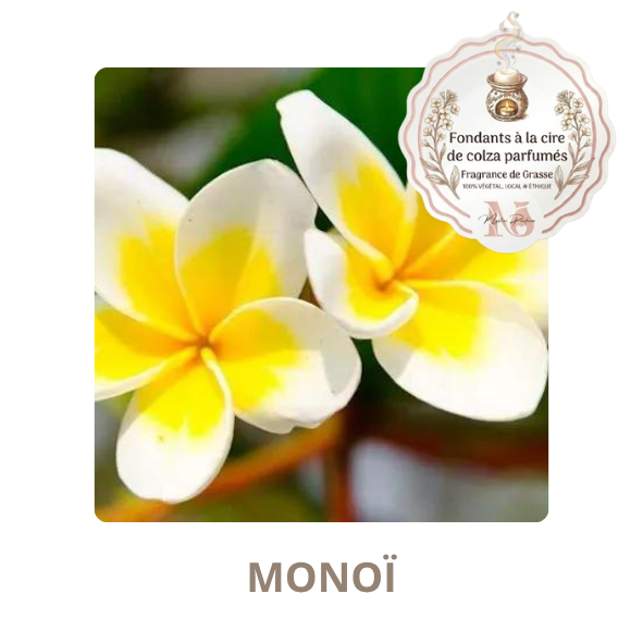 Monoï - fondant parfumé, fabriqué en France
